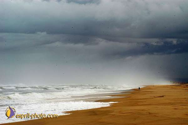 Nom de l'image : D1159471-01 — Description :  Vagues (Atlantique - Portugal - Dunes de la Costa do Prata)