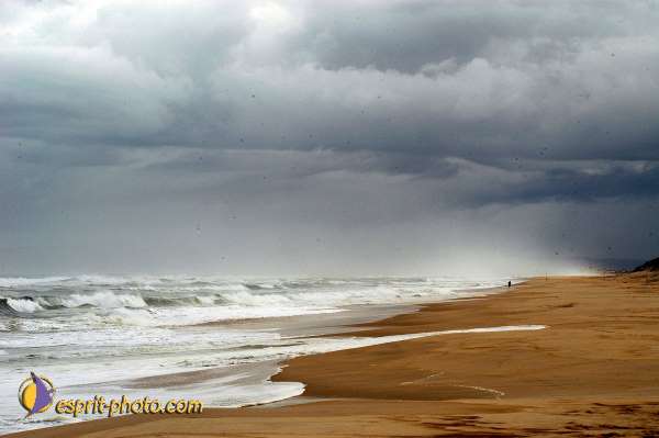 Nom de l'image : D1159477-01 — Description :  Vagues (Atlantique - Portugal - Dunes de la Costa do Prata)