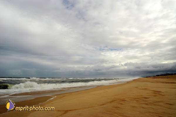 Nom de l'image : D1159538-01 — Description :  Vagues (Atlantique - Portugal - Dunes de la Costa do Prata)