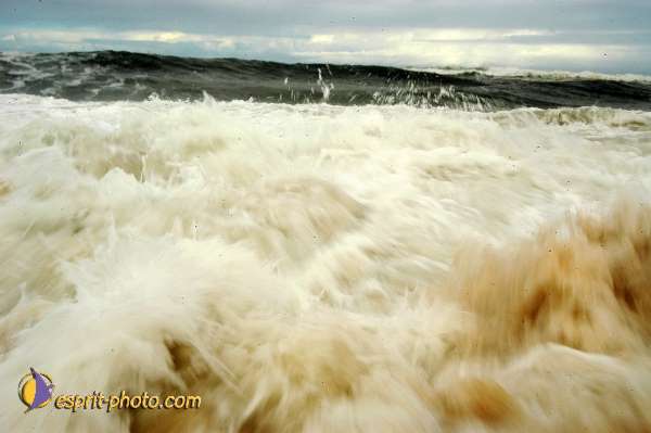 Nom de l'image : D1159641-01 — Description :  Vagues (Atlantique - Portugal - Dunes de la Costa do Prata)