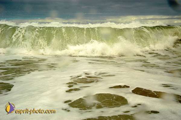 Nom de l'image : D1159743-01 — Description :  Vagues (Atlantique - Portugal - Costa do Prata)