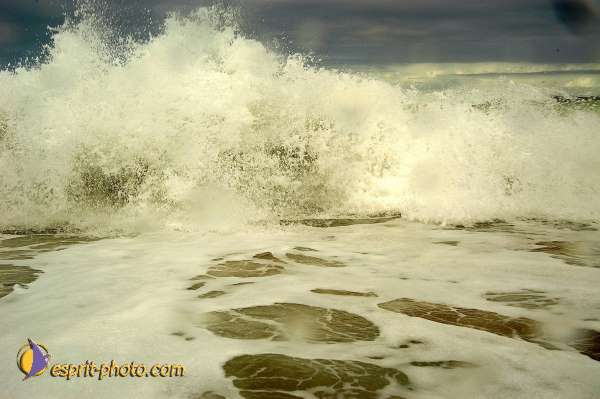 Nom de l'image : D1159744-01 — Description :  Vagues (Atlantique - Portugal - Costa do Prata)