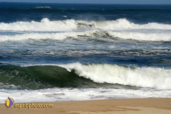 Nom de l'image : D1159805-01 — Description :  Vagues (Atlantique - Portugal - Costa do Prata)