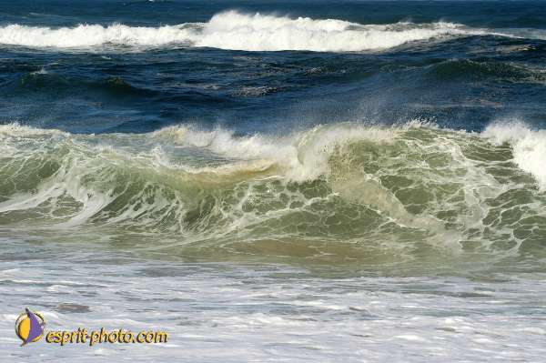 Nom de l'image : D1159815-01 — Description :  Vagues (Atlantique - Portugal - Costa do Prata)