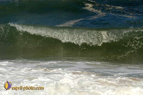 Nom de l'image : D1159876-01 — Description :  Vagues (Atlantique - Portugal - Costa do Prata)