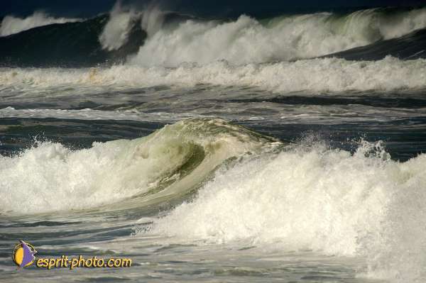 Nom de l'image : D1159898-01 — Description :  Vagues (Atlantique - Portugal - Costa do Prata)