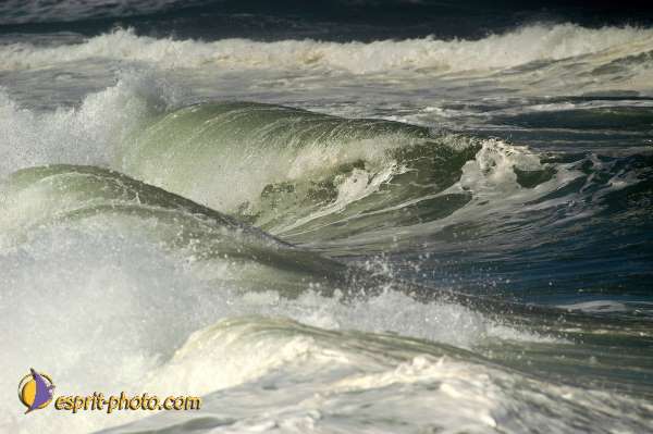 Nom de l'image : D1159917-01 — Description :  Vagues (Atlantique - Portugal - Costa do Prata)