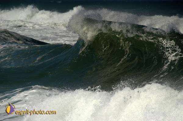 Nom de l'image : D1159919-01 — Description :  Vagues (Atlantique - Portugal - Costa do Prata)