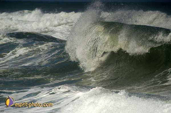 Nom de l'image : D1159920-01 — Description :  Vagues (Atlantique - Portugal - Costa do Prata)