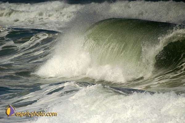Nom de l'image : D1159921-01 — Description :  Vagues (Atlantique - Portugal - Costa do Prata)