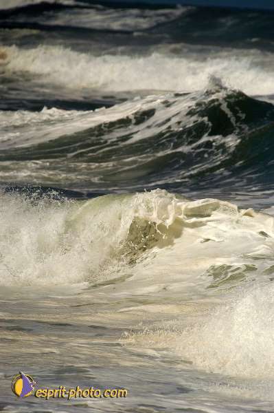 Nom de l'image : D1159935-01 — Description :  Vagues (Atlantique - Portugal - Costa do Prata)