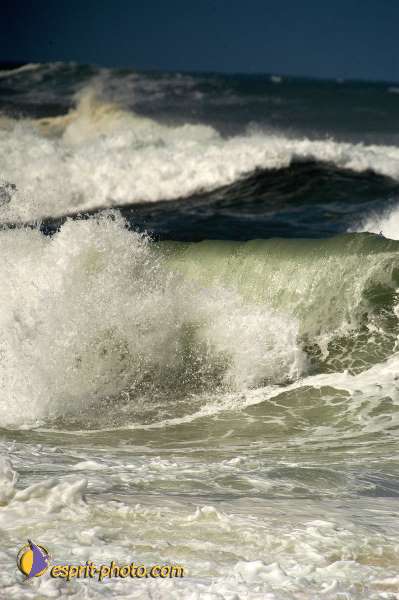 Nom de l'image : D1159938-01 — Description :  Vagues (Atlantique - Portugal - Costa do Prata)