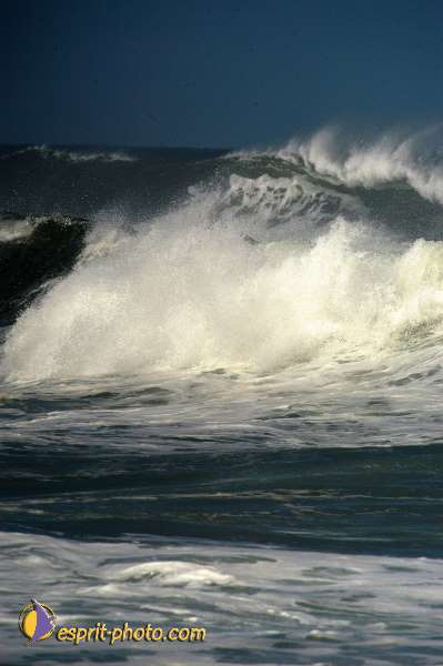 Nom de l'image : D1159971-01 — Description :  Vagues (Atlantique - Portugal - Costa do Prata)