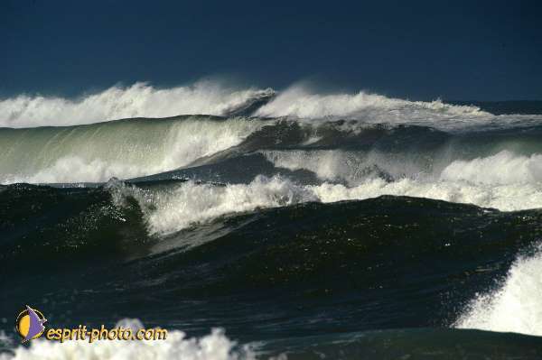 Nom de l'image : D1159993-01 — Description :  Vagues (Atlantique - Portugal - Costa do Prata)