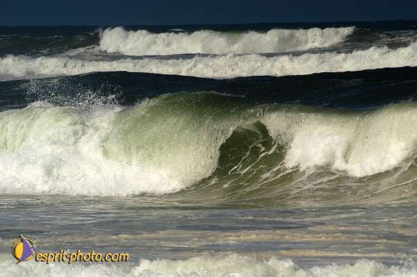 Nom de l'image : D1160005-01 — Description :  Vagues (Atlantique - Portugal - Costa do Prata)