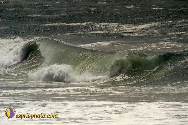 Nom de l'image : D1160220-01 — Description :  Vagues (Atlantique - Portugal - Costa do Prata)