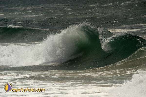 Nom de l'image : D1160224-01 — Description :  Vagues (Atlantique - Portugal - Costa do Prata)
