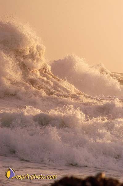 Nom de l'image : D1167301-1 — Description :  Vagues à Sabaudia (Latina-Italie)