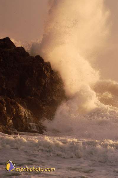 Nom de l'image : D1167321-1 — Description :  Vagues à Sabaudia (Latina-Italie)