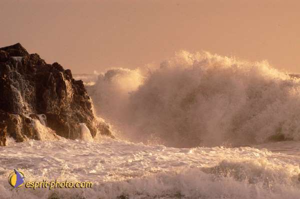 Nom de l'image : D1167356-1 — Description :  Vagues à Sabaudia (Latina-Italie)