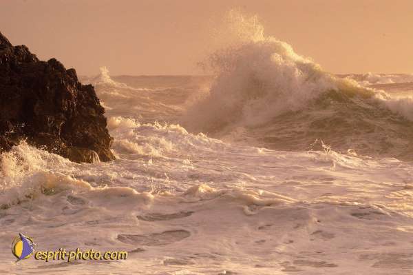 Nom de l'image : D1167372-1 — Description :  Vagues à Sabaudia (Latina-Italie)