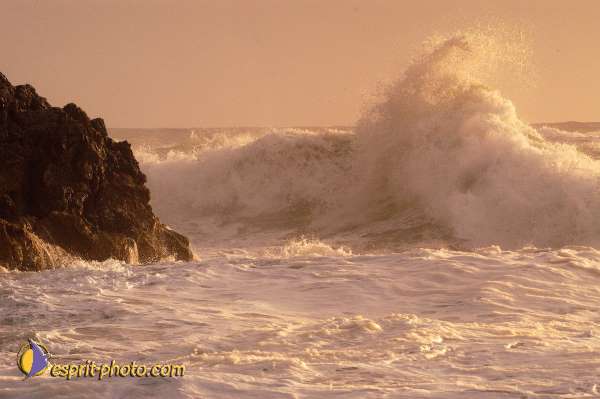 Nom de l'image : D1167373-1 — Description :  Vagues à Sabaudia (Latina-Italie)