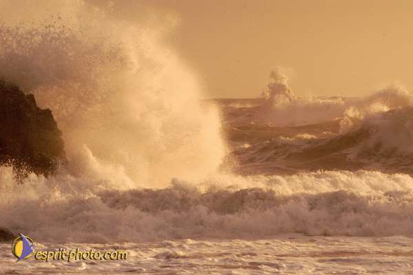 Nom de l'image : D1167384-1 — Description :  Vagues à Sabaudia (Latina-Italie)