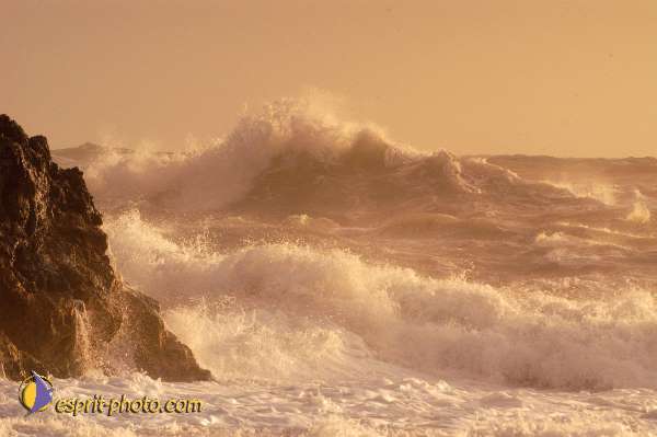 Nom de l'image : D1167386-1 — Description :  Vagues à Sabaudia (Latina-Italie)