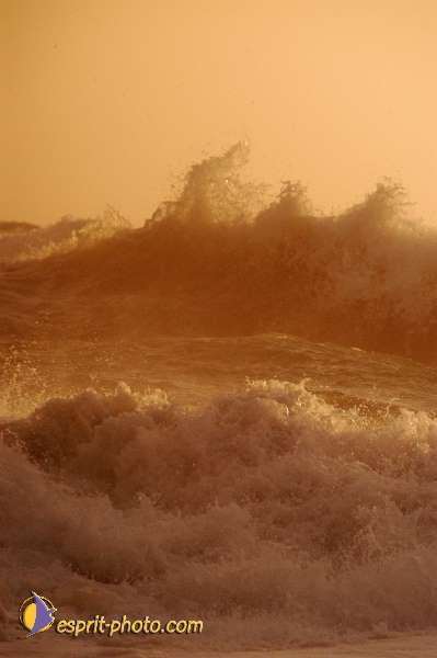 Nom de l'image : D1167408-1 — Description :  Vagues à Sabaudia (Latina-Italie)