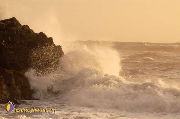 Nom de l'image : D1167432-1 — Description :  Vagues à Sabaudia (Latina-Italie)