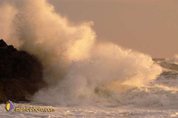 Nom de l'image : D1167516-1 — Description :  Vagues à Sabaudia (Latina-Italie)