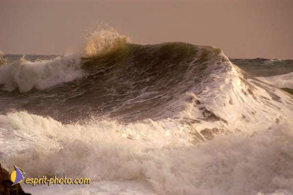 Nom de l'image : D1167570-1 — Description :  Vagues à Sabaudia (Latina-Italie)
