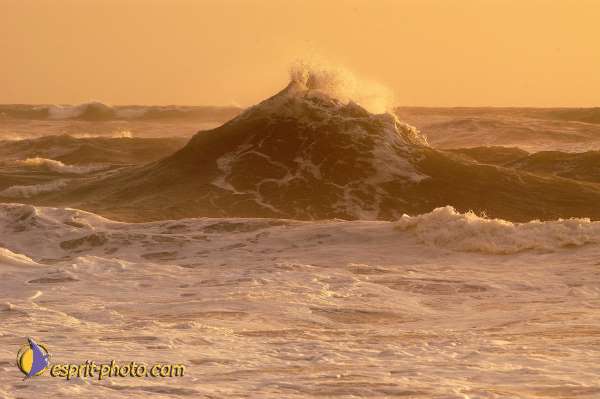 Nom de l'image : D1167637-1 — Description :  Vagues à Sabaudia (Latina-Italie)