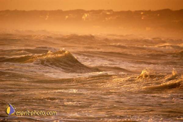 Nom de l'image : D1167678-1 — Description :  Vagues à Sabaudia (Latina-Italie)