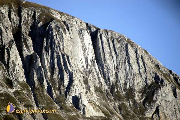 Nom de l'image : D1010073 — Description :