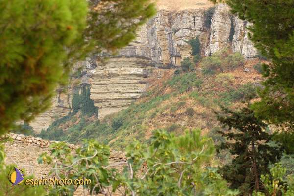 Nom de l'image : D1171524-1 — Description :  Franciscaini Rinovati à Corleone (Sicile)