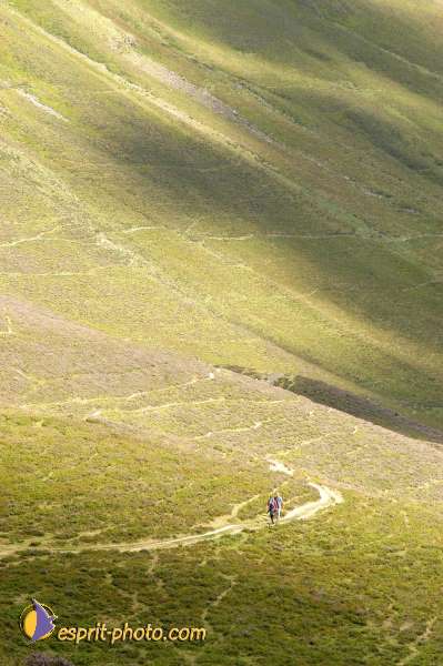 Nom de l'image : E00007886-01 — Description :