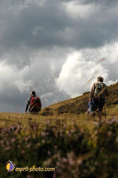 Nom de l'image : E00007906-01 — Description :