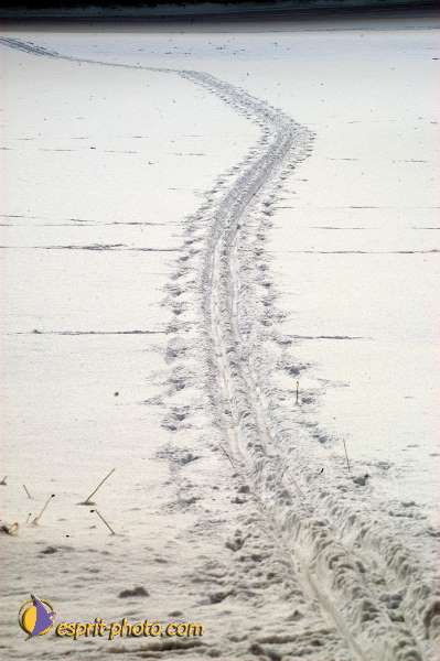 Nom de l'image : D1104052-01 — Description :