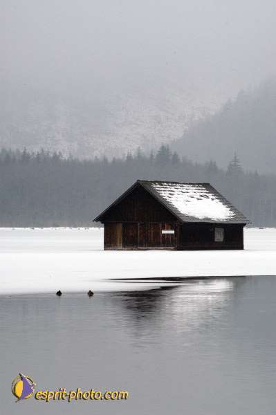 Nom de l'image : D1104664-nef-01 — Description :