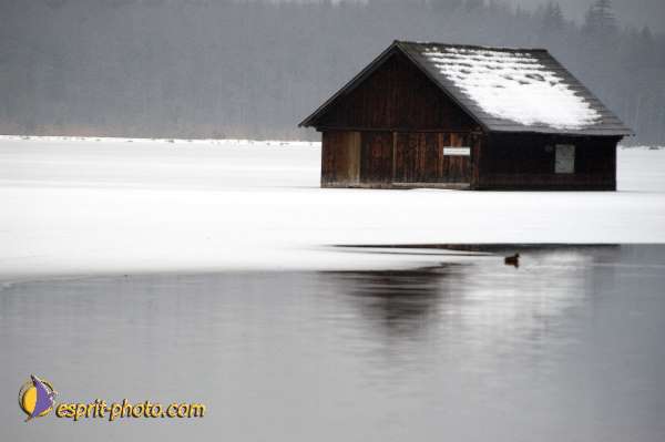 Nom de l'image : D1104667-nef-01 — Description :