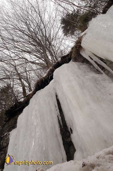 Nom de l'image : D1104702-nef-01 — Description :