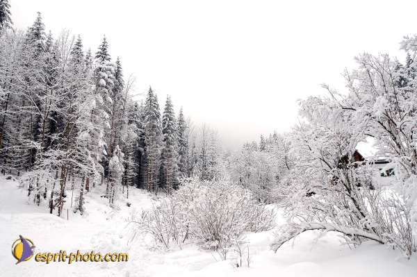 Nom de l'image : D1105139-01 — Description :