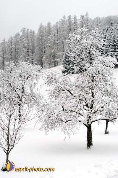 Nom de l'image : D1105186-nef-01 — Description :