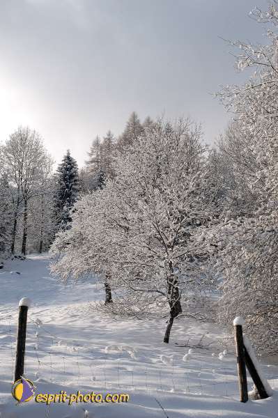 Nom de l'image : D1105324-nef-01 — Description :