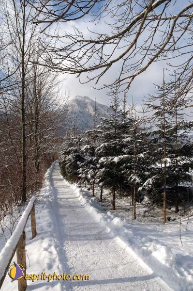 Nom de l'image : D1105373-nef-01 — Description :