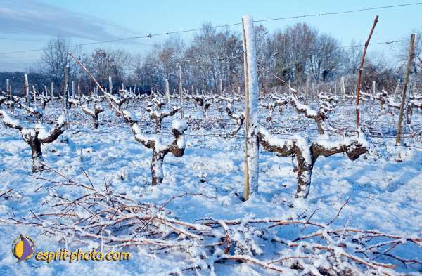 Nom de l'image : EG-Nat-03 — Description :