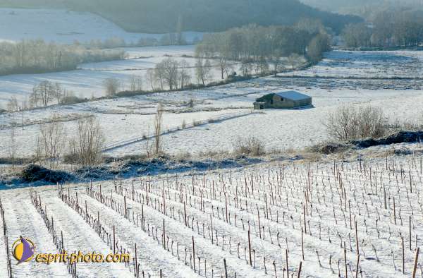 Nom de l'image : EG-Nat-04 — Description :