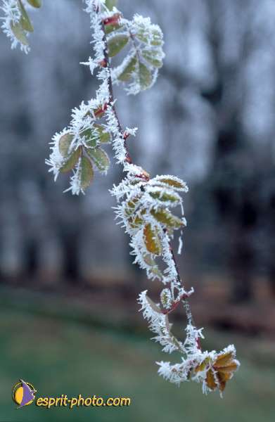 Nom de l'image : EG-Nat-05 — Description :