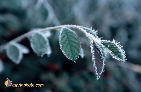 Nom de l'image : EG-Nat-06 — Description :